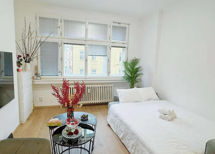 Daire Cozy Nest Prag